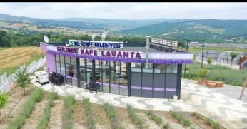 Lavanta Kafe de yandaşlara mı gidecek?