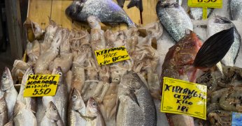 Kocaeli'de balık tezgahlarındaki son durum