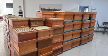 Arıcılık kursiyerlerine kovan desteği