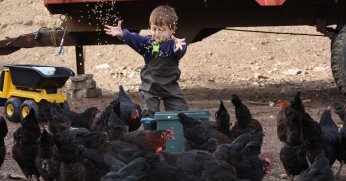 Kocaeli'de çiftçinin yüzünü güldüren destekler rakamlara yansıdı