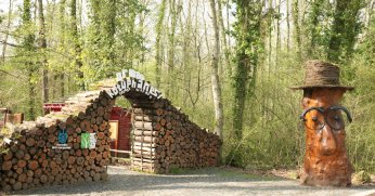 Orman Kütüphanesi’nde okuma keyfi bambaşka