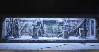 30 farklı akvaryum eşsiz bir gezi yaşatacak