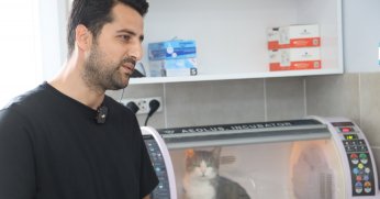 Körfez’de ‘Kral’ hayata tutundu