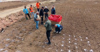 Gül Bahçesi Parkı’nda Fidanlar Toprakla Buluşuyor