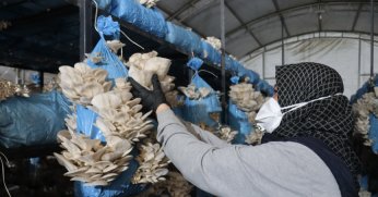 Vatandaşa destek oluyor