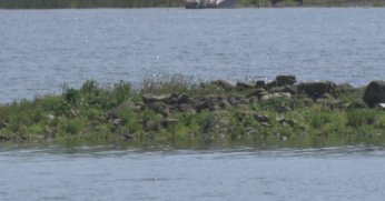 Sapanca Gölü çekildi: Gizemli ada yeniden ortaya çıktı