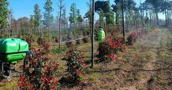 Fidanlara koruyucu müdahale