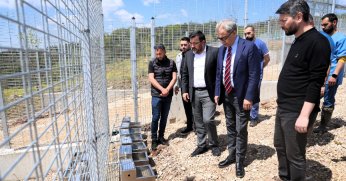 Büyükşehir’den sahipsiz köpeklere yeni yuva