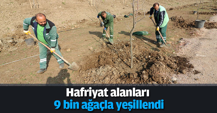 Hafriyat alanları 9 bin ağaçla yeşillendi