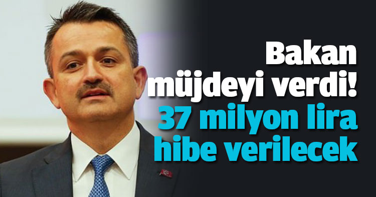 Bakan müjdeyi verdi! 37 milyon lira hibe verilecek