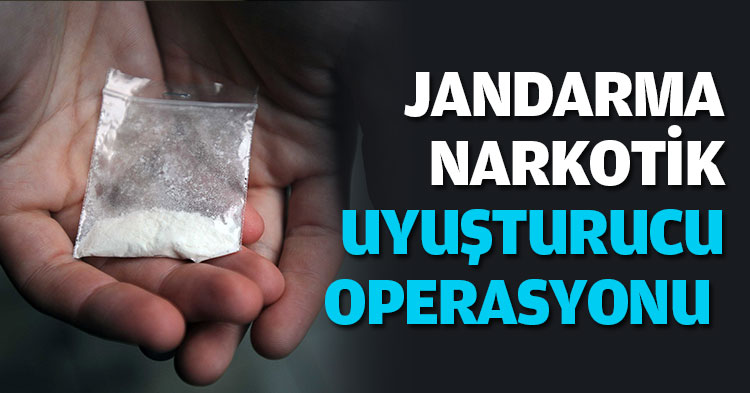 JANDARMA NARKOTİK UYUŞTURUCU OPERASYONU