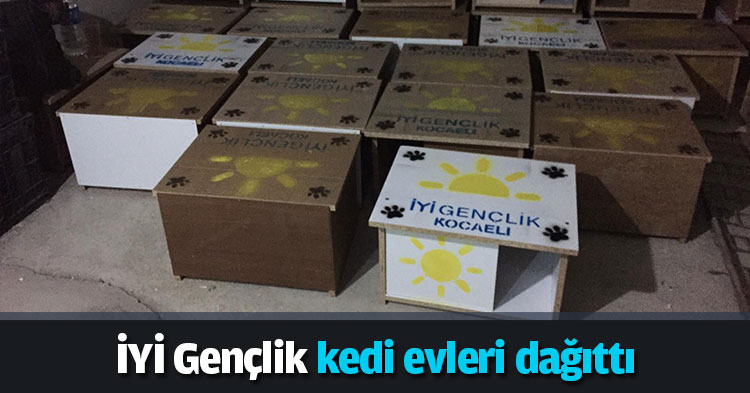 İYİ Gençlik kedi evleri dağıttı