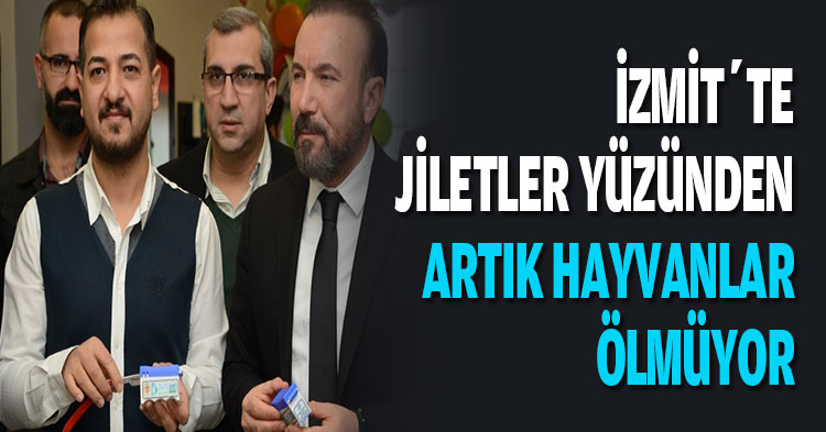 İZMİT’TE JİLETLER YÜZÜNDEN ARTIK HAYVANLAR ÖLMÜYOR