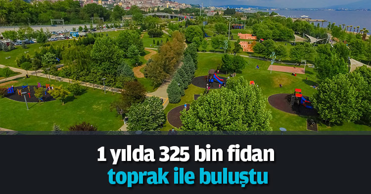 1 yılda 325 bin fidan toprak ile buluştu