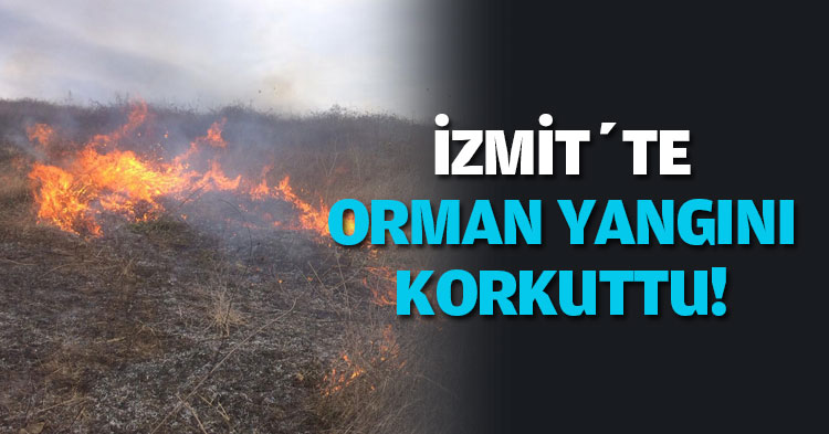 İZMİT’TE ORMAN YANGINI KORKUTTU!