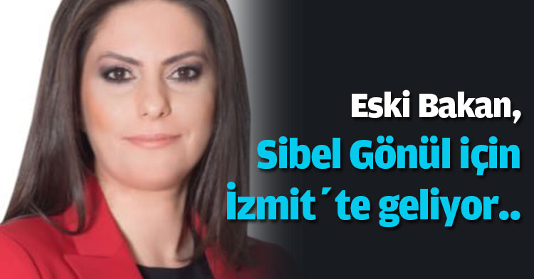 Jülide Sarıeroğlu, Gönül için geliyor