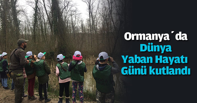 Ormanya’da Dünya Yaban Hayatı Günü kutlandı