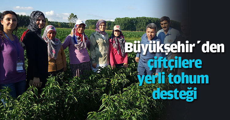 Büyükşehir’den çiftçilere yerli tohum desteği