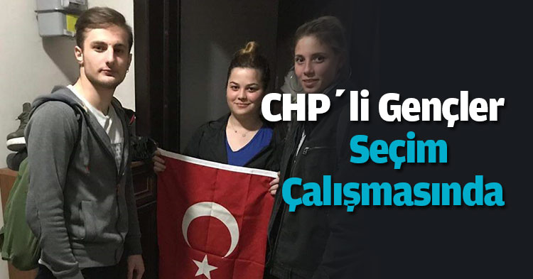 CHP'li gençler seçim çalışmasında