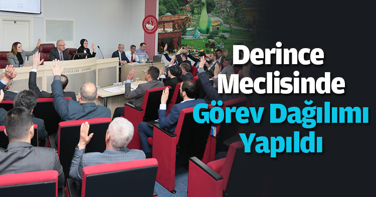 Derince Meclisinde Görev Dağılımı Yapıldı
