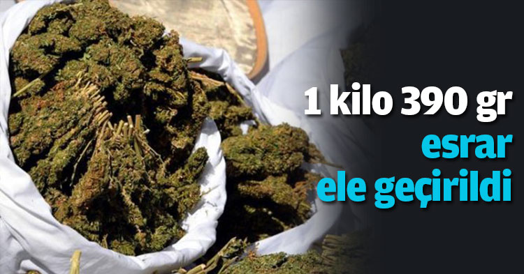 1 kilo 390 gr esrar ele geçirildi