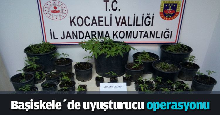 Başiskele’de uyuşturucu operasyonu