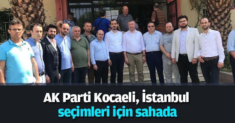 AK Parti Kocaeli, İstanbul  seçimleri için sahada