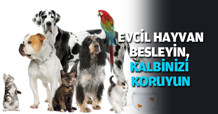 KARDİYOLOJİ PROF. DR. ÖZLEM ESEN:  “EVCİL HAYVAN BESLEYİN, KALBİNİZİ KORUYUN”