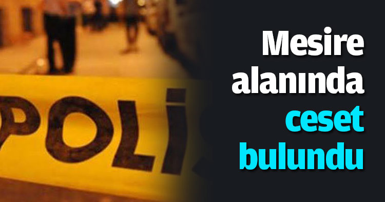 Mesire alanında ceset bulundu  