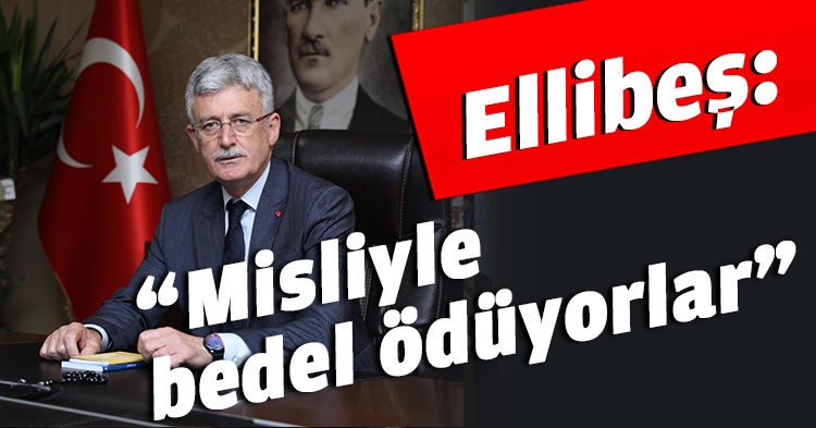 Ellibeş: “Misliyle bedel ödüyorlar”