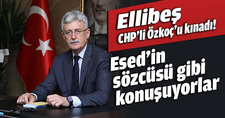Ellibeş Erdoğan’a yapılan hakareti kınadı! Esed’in sözcüsü gibi konuşuyorlar