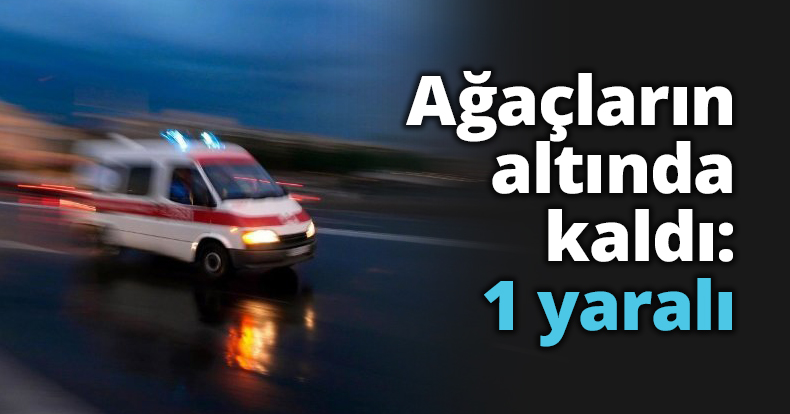 Ağaçların altında kaldı: 1 yaralı