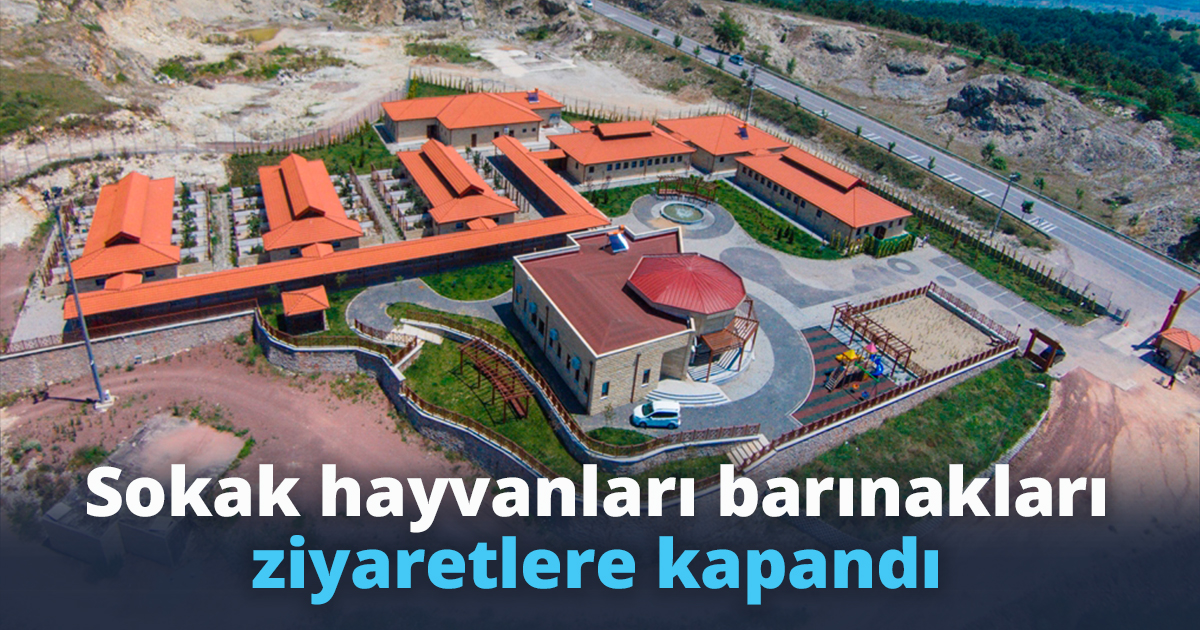 Sokak hayvanları barınakları ziyaretlere kapandı