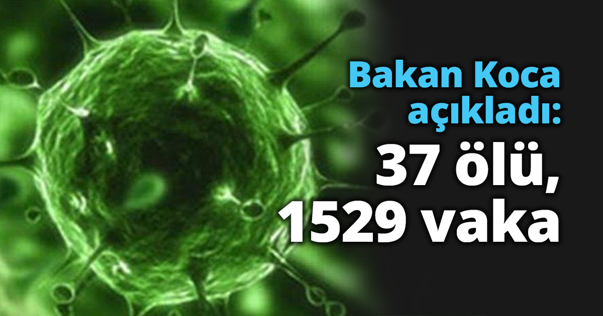 Koca açıkladı: 37 ölü, 1529 vaka