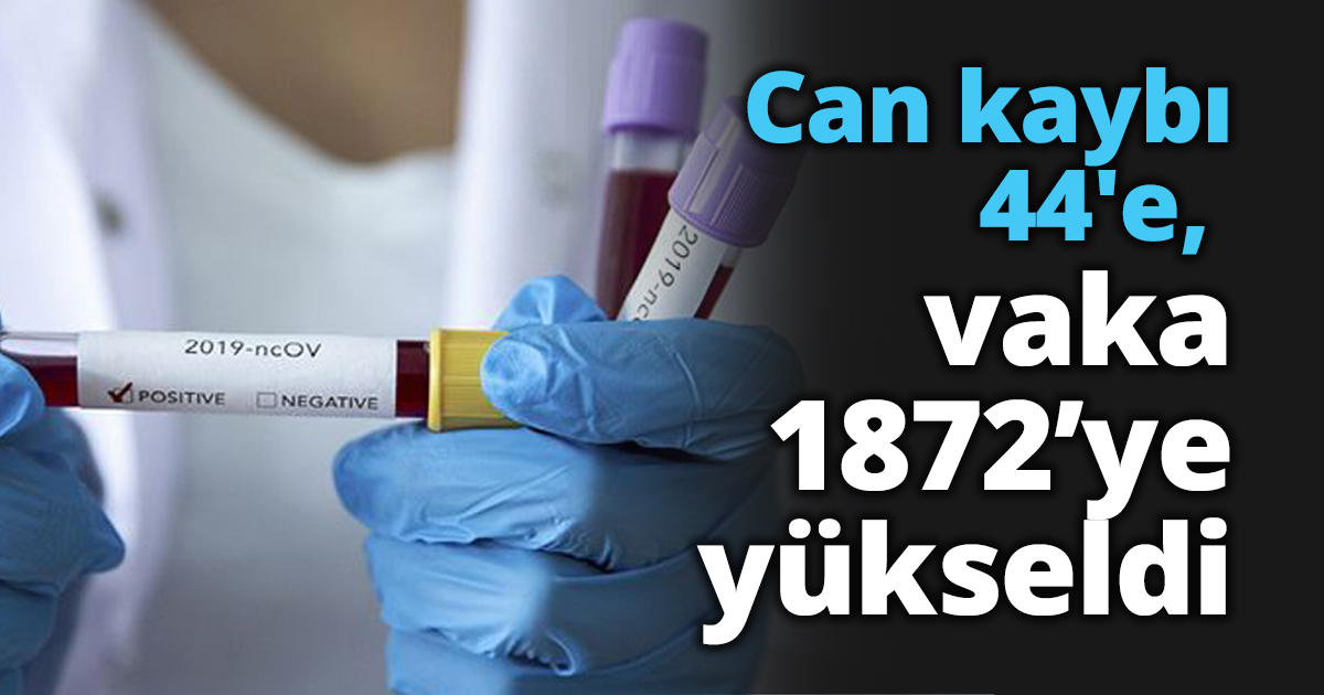Can kaybı 44'e vaka 1872’ye yükseldi