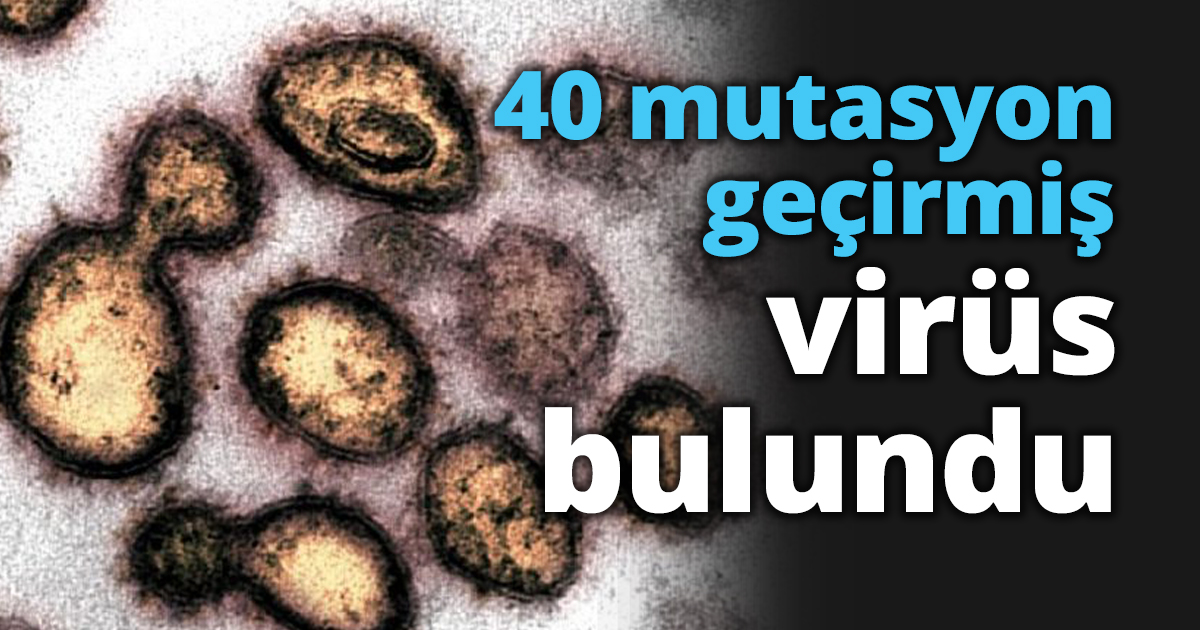 40 mutasyon geçirmiş virüs bulundu
