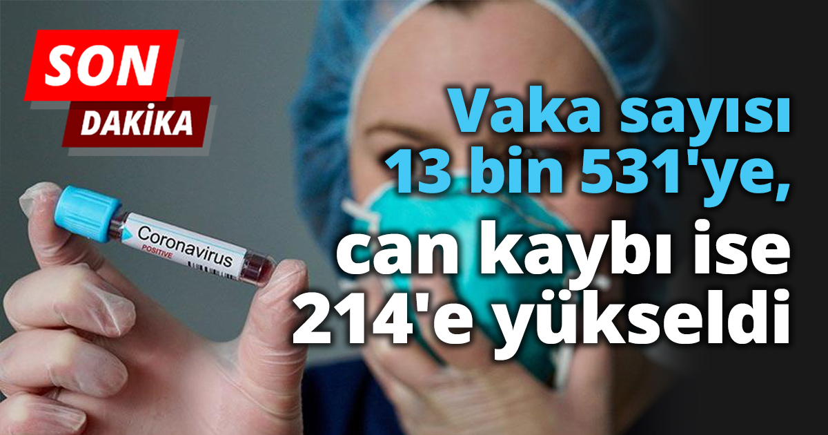 Vaka sayısı 13 bin 531'ye, can kaybı ise 214'e yükseldi