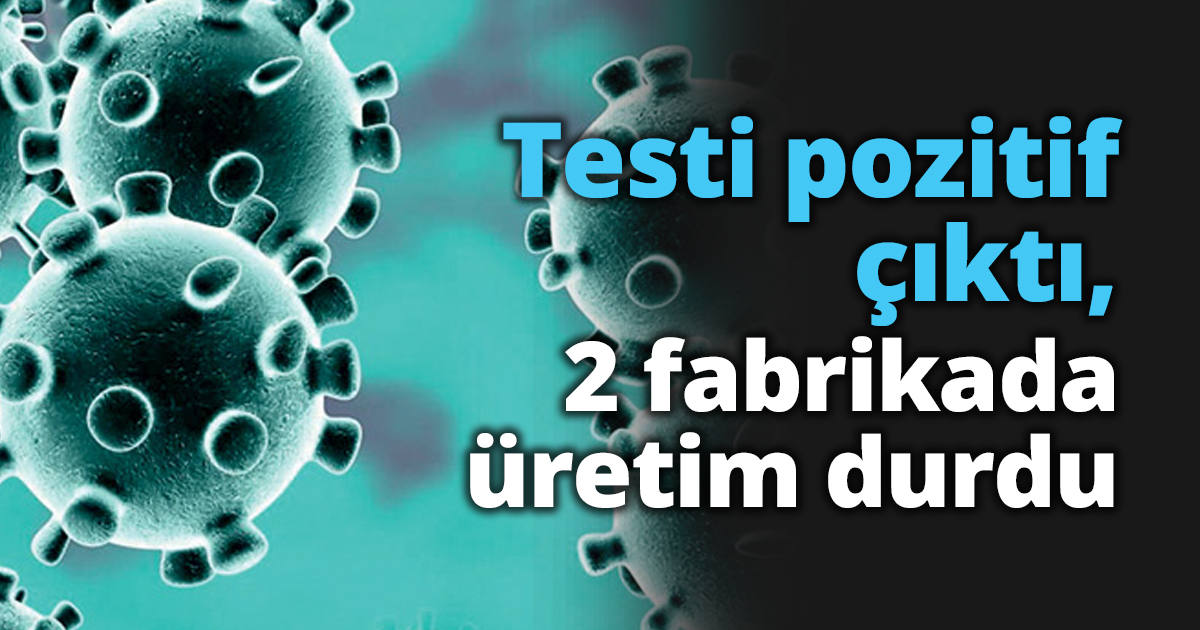Testi pozitif çıktı, 2 fabrikada üretim durdu