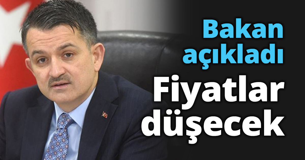 Bakan açıkladı! Fiyatlar düşecek