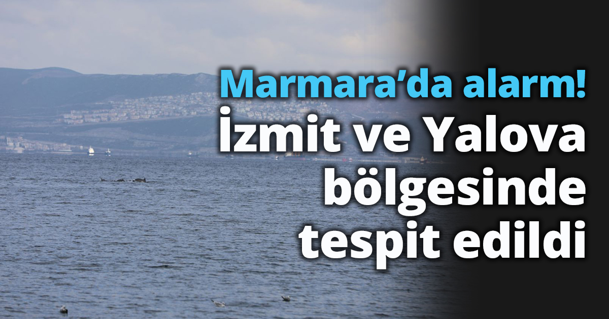 Marmara’da alarm! İzmit ve Yalova bölgesinde tespit edildi
