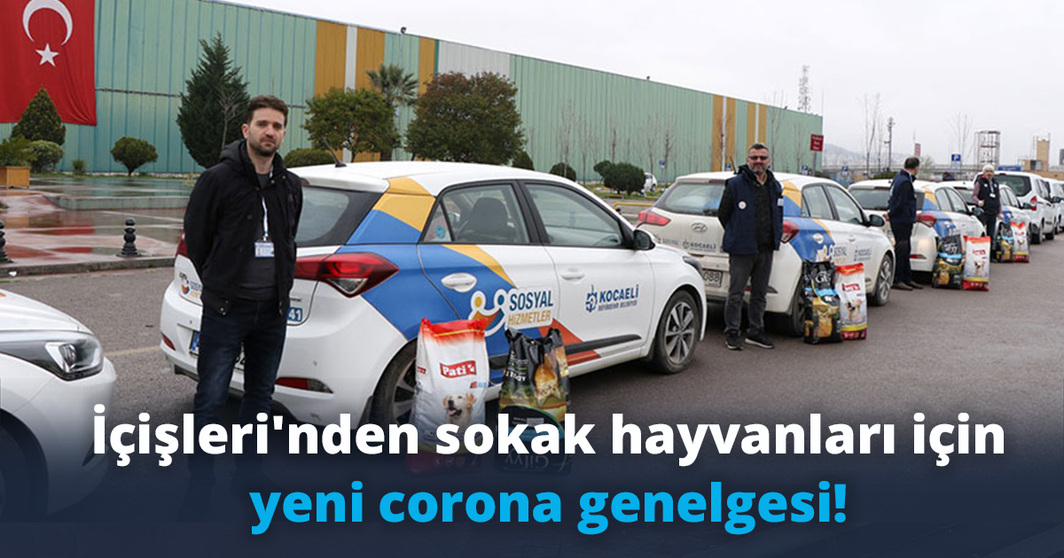 İçişleri'nden sokak hayvanları için yeni corona genelgesi!
