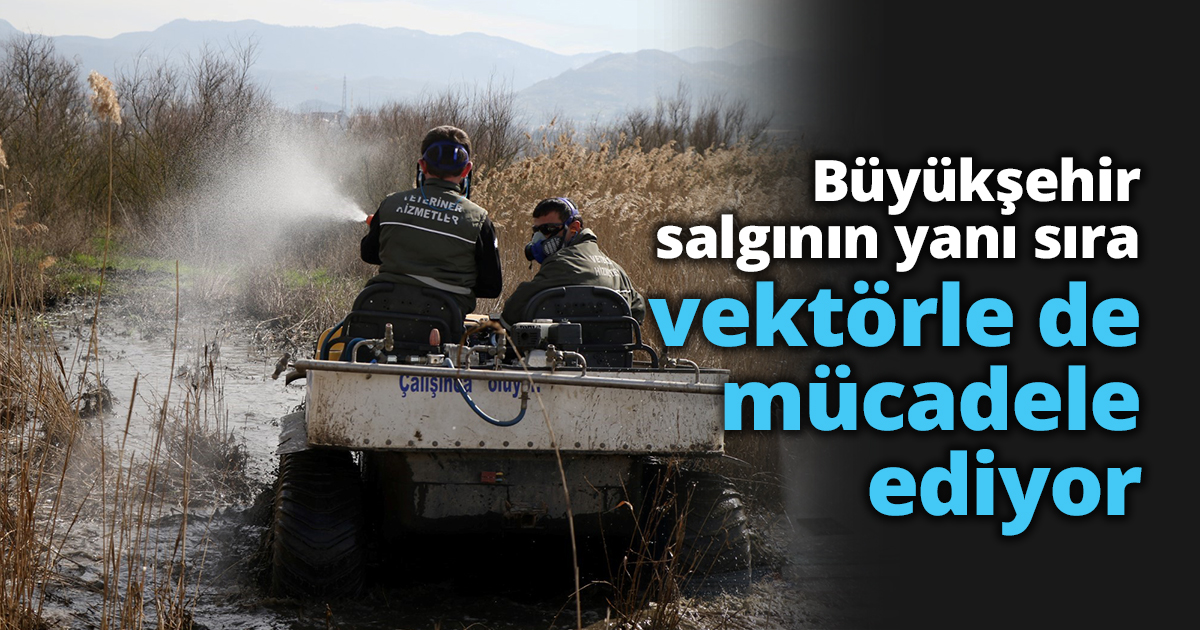 Büyükşehir salgının yanı sıra vektörle de mücadele ediyor   