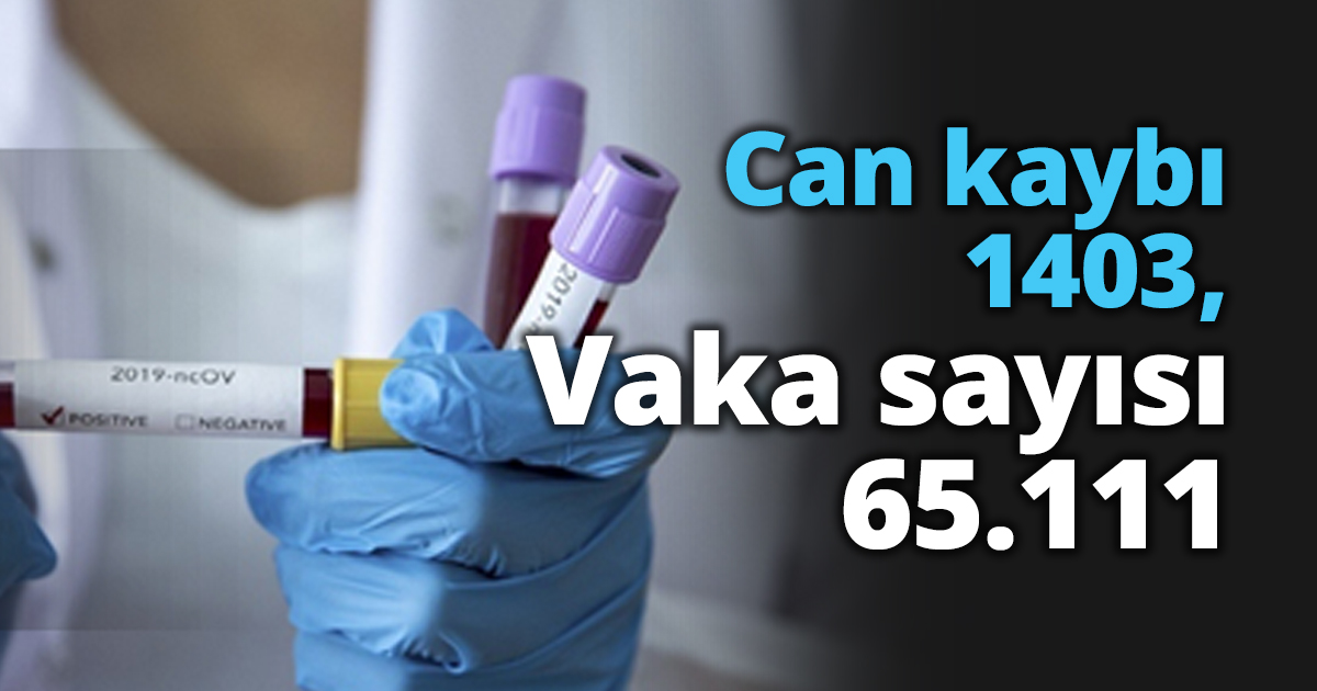 Can kaybı 1403, Vaka sayısı 65.111