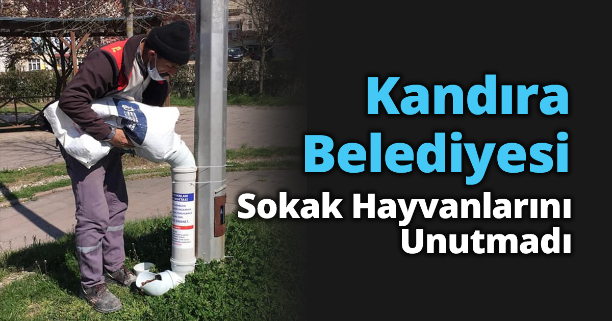 Kandıra Belediyesi Sokak Hayvanlarını Unutmadı