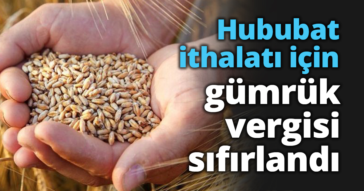 Hububat ithalatı için gümrük vergisi sıfırlandı