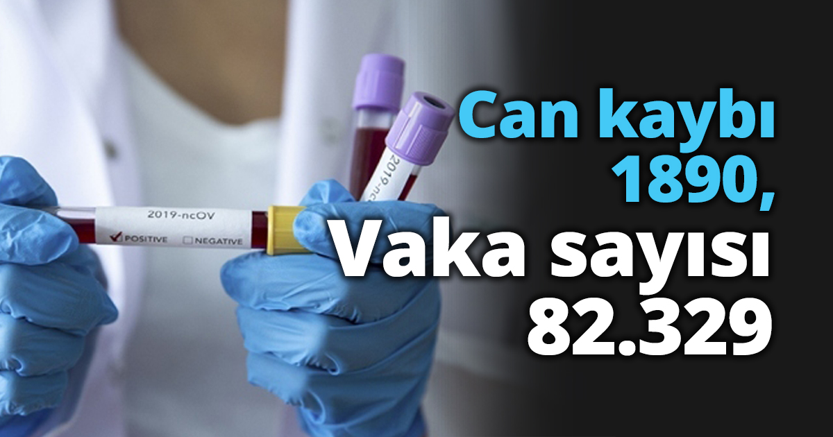 Can kaybı 1890, Vaka sayısı 82.329