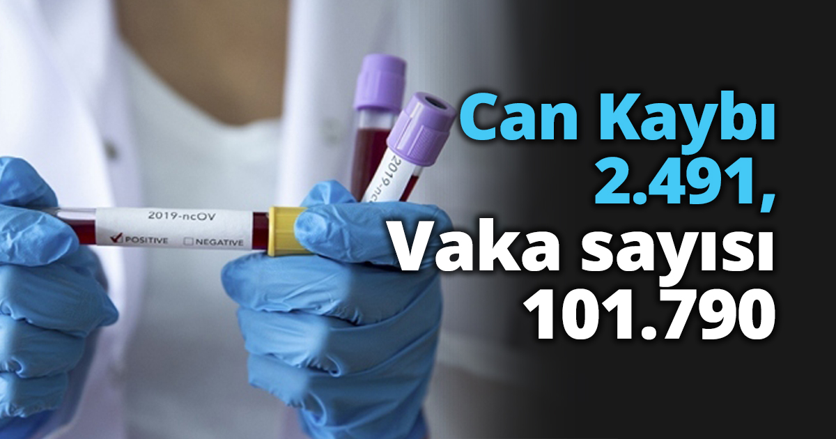 Can Kaybı 2.491, Vaka sayısı 101.790