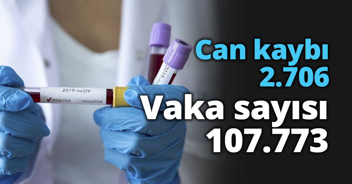 Can kaybı 2.706 Vaka sayısı 107.773