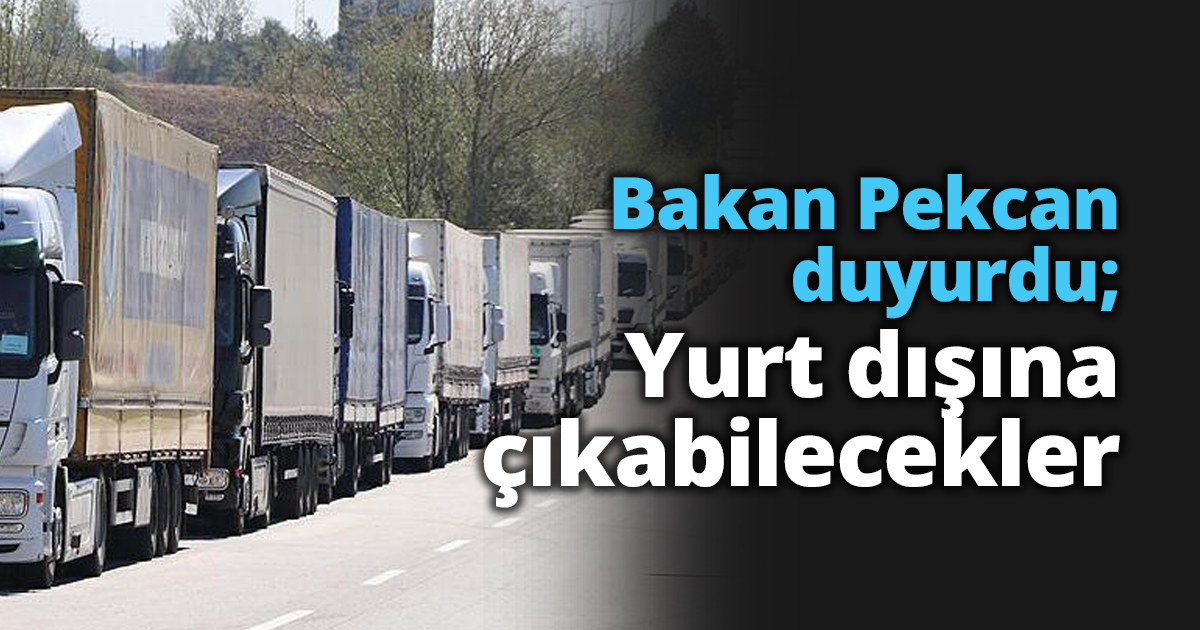 Bakan Pekcan duyurdu; Yurt dışına çıkabilecekler