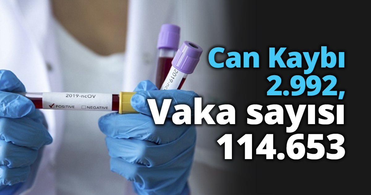 Can Kaybı 2.992, Vaka sayısı 114.653
